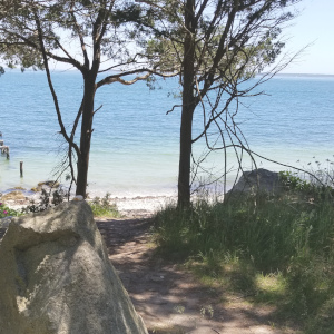Path to the Ocean